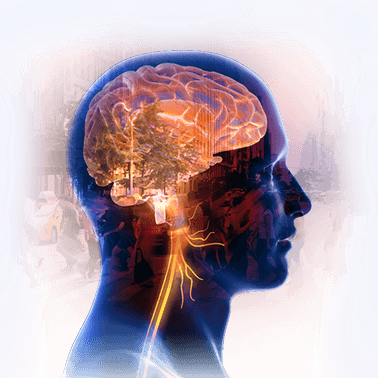 Brain Science Behind The Elon Code